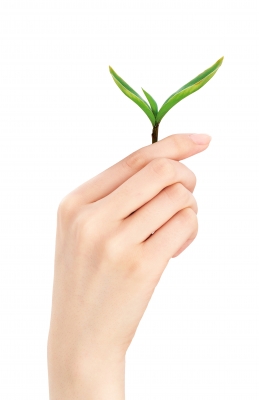 Green Friendly Technology